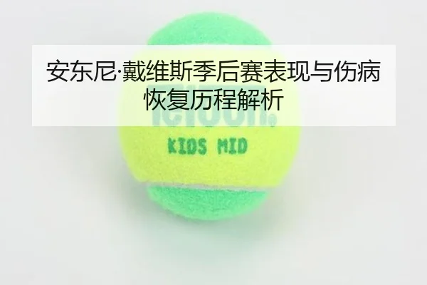 安东尼·戴维斯季后赛表现与伤病恢复历程解析